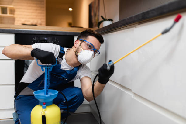 Best Pest Control Near Me in Kensington, NY