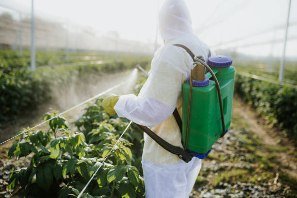 Best Termite Control Services  in Kensington, NY